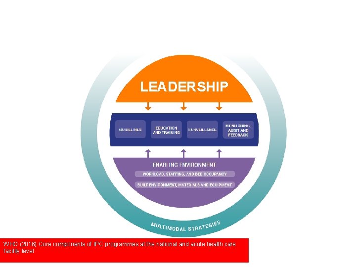 LEADERSHIP WHO (2016) Core components of IPC programmes at the national and acute health