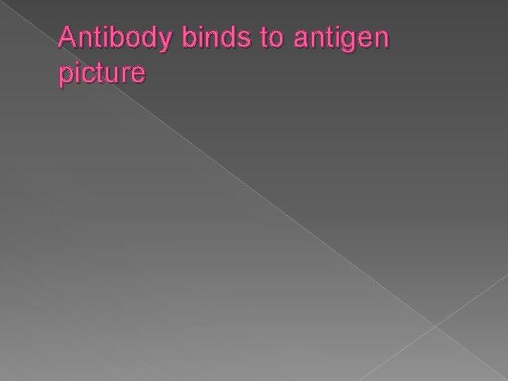 Antibody binds to antigen picture 