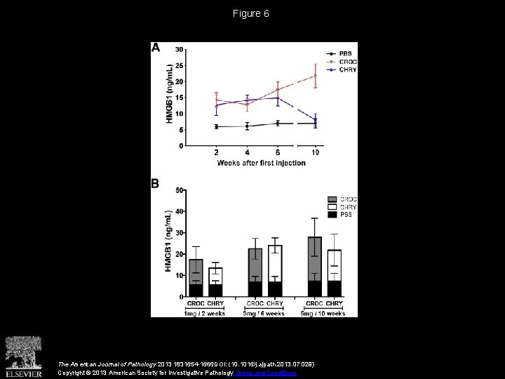 Figure 6 The American Journal of Pathology 2013 1831654 -1666 DOI: (10. 1016/j. ajpath.