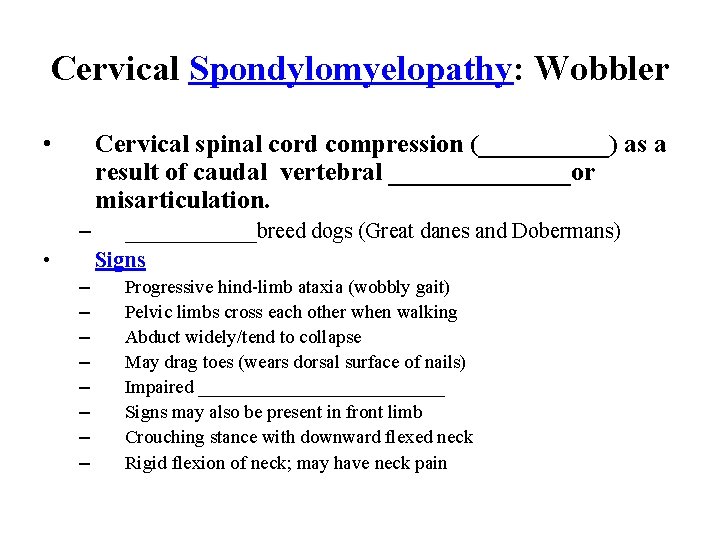 Cervical Spondylomyelopathy: Wobbler • Cervical spinal cord compression (_____) as a result of caudal