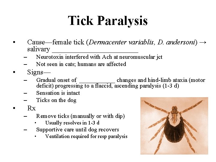 Tick Paralysis • Cause—female tick (Dermacenter variablis, D. andersoni) → salivary ____________ – –
