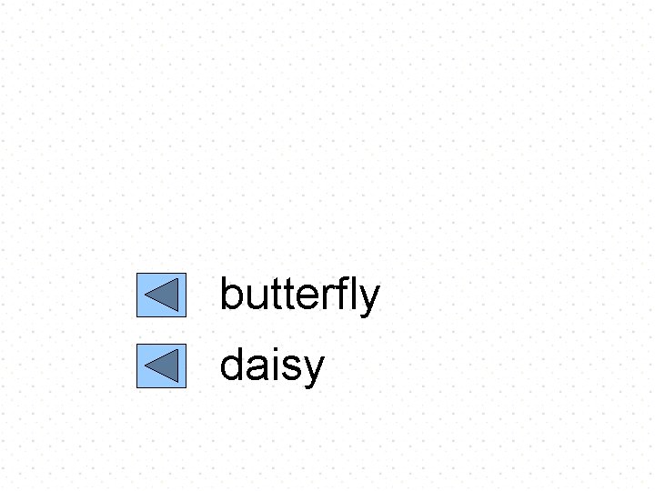 butterfly daisy 