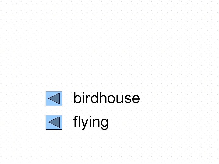 birdhouse flying 