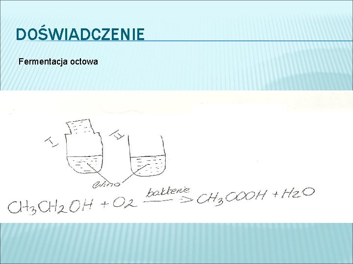 DOŚWIADCZENIE Fermentacja octowa 