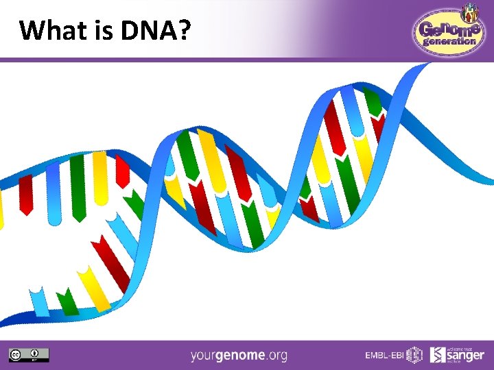 What is DNA? 