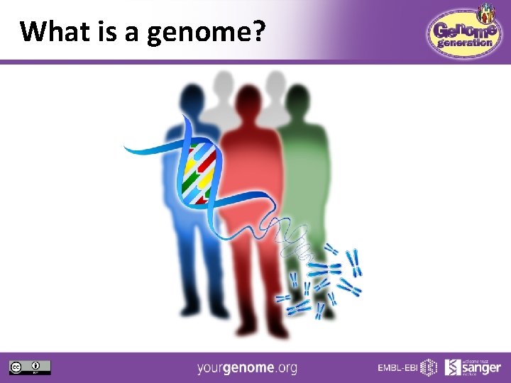 What is a genome? 