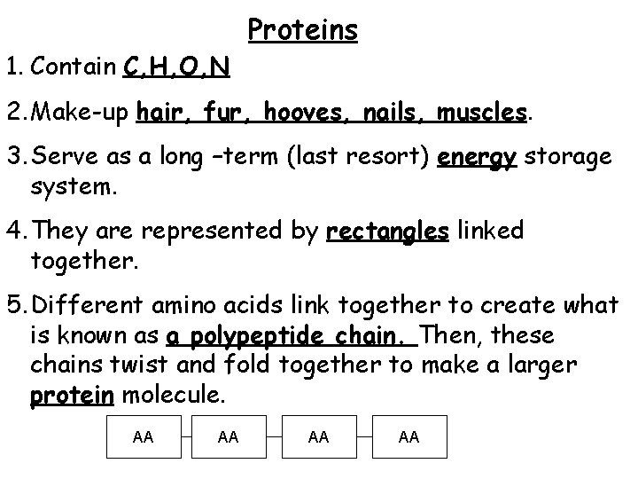 1. Contain C, H, O, N Proteins 2. Make-up hair, fur, hooves, nails, muscles.
