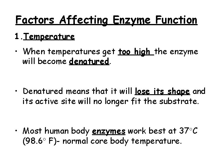 Factors Affecting Enzyme Function 1. Temperature • When temperatures get too high the enzyme