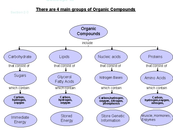 Concept M Section 2 -3 There are 4 main groups of Organic Compounds include