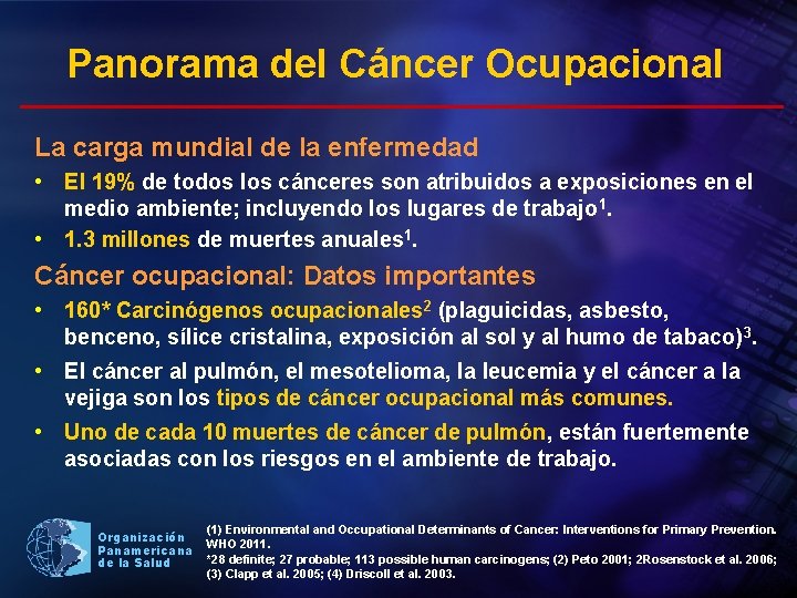 Panorama del Cáncer Ocupacional La carga mundial de la enfermedad • El 19% de