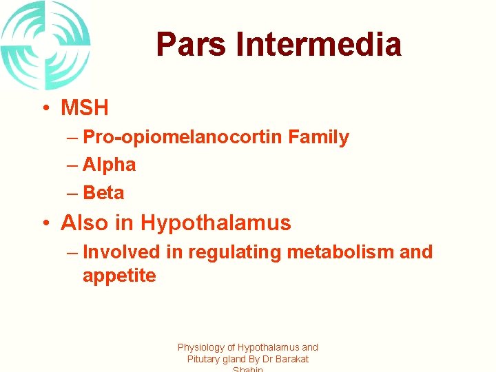 Pars Intermedia • MSH – Pro-opiomelanocortin Family – Alpha – Beta • Also in