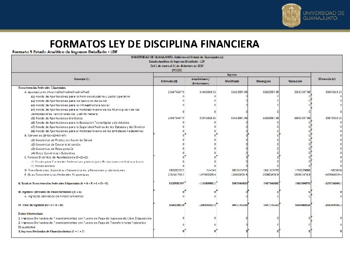 FORMATOS LEY DE DISCIPLINA FINANCIERA FORMATOS LEY DE DISCIPLINA FINANCIERA