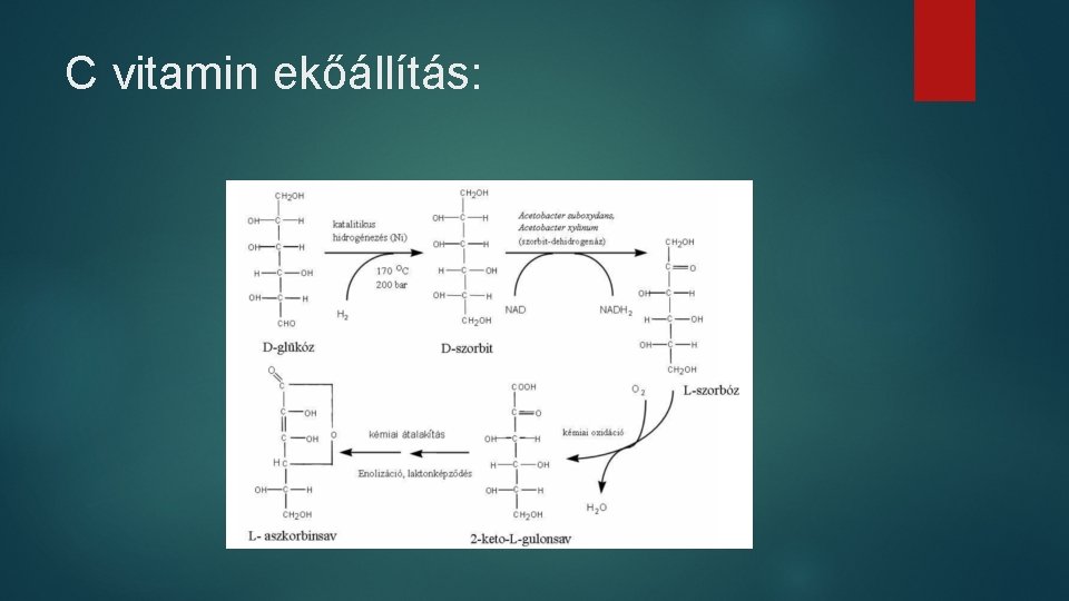 C vitamin ekőállítás: 