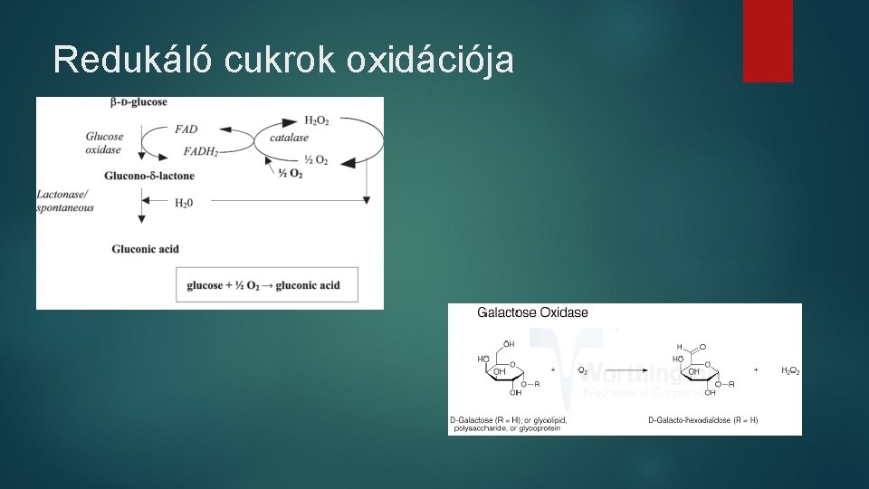 Redukáló cukrok oxidációja 