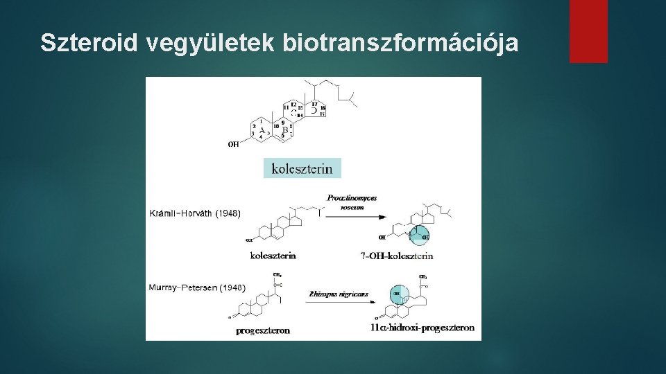 Szteroid vegyületek biotranszformációja 