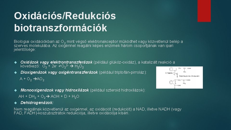 Oxidációs/Redukciós biotranszformációk Biológiai oxidációkban az O 2 mint végső elektronakceptor működhet vagy közvetlenül belép