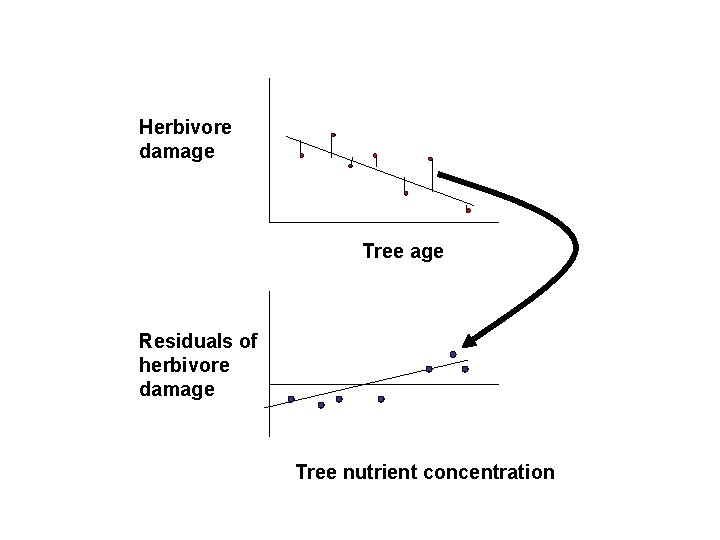 Herbivore damage Tree age Residuals of herbivore damage Tree nutrient concentration 