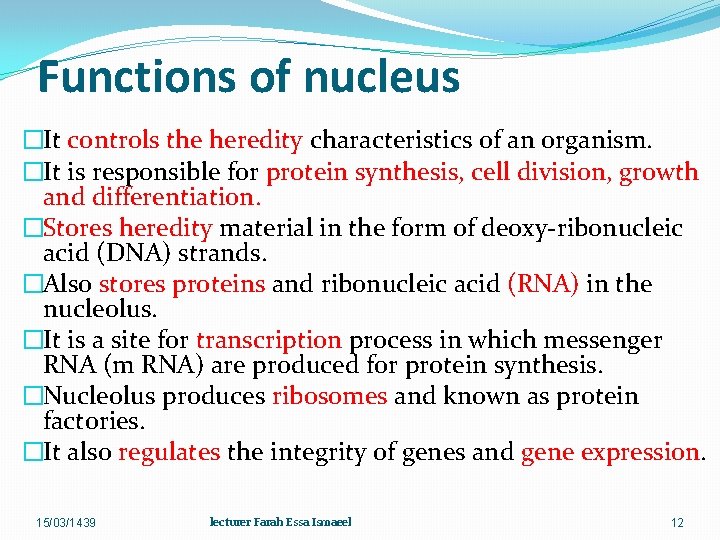 Functions of nucleus �It controls the heredity characteristics of an organism. �It is responsible