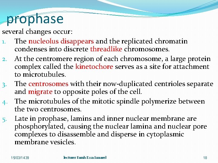 prophase several changes occur: 1. The nucleolus disappears and the replicated chromatin condenses into