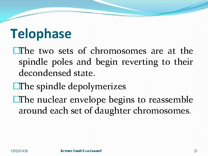 Telophase �The two sets of chromosomes are at the spindle poles and begin reverting