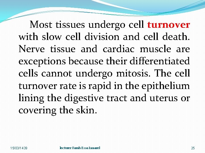 Most tissues undergo cell turnover with slow cell division and cell death. Nerve tissue