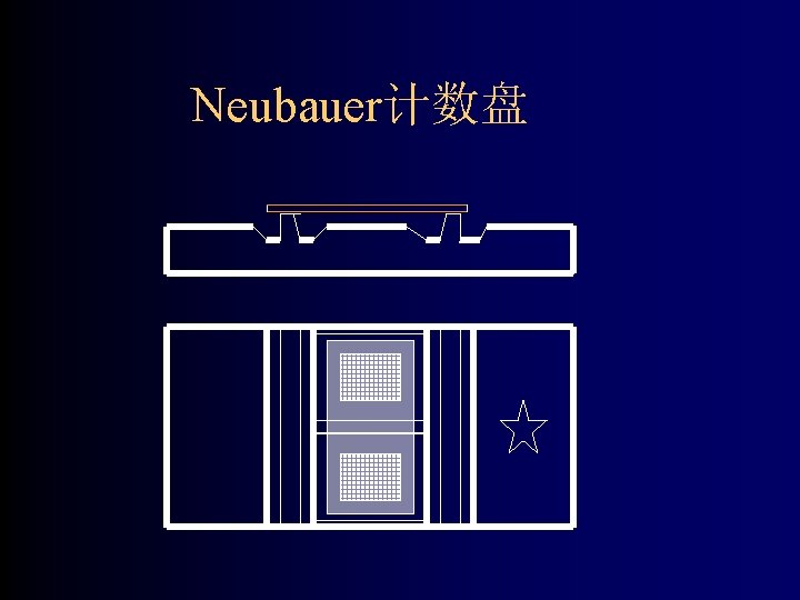 Neubauer计数盘 