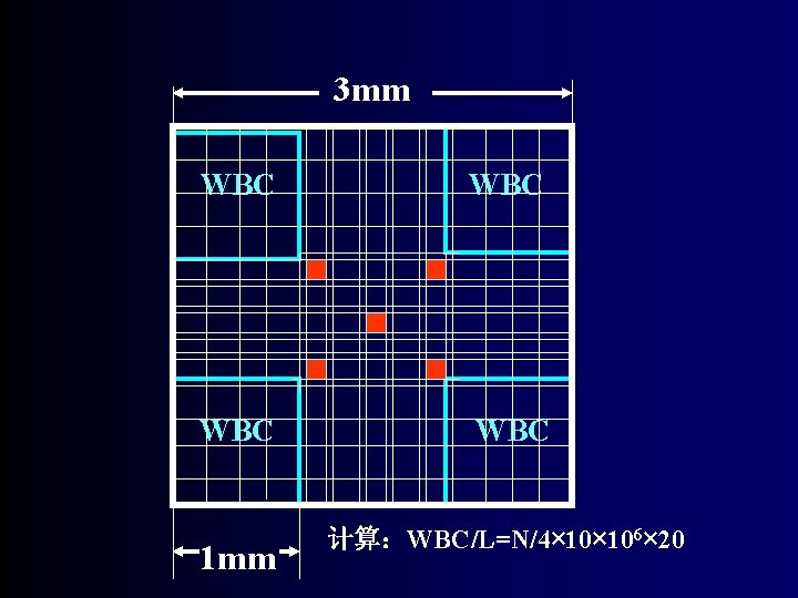 3 mm WBC WBC 1 mm 计算：WBC/L=N/4× 106× 20 