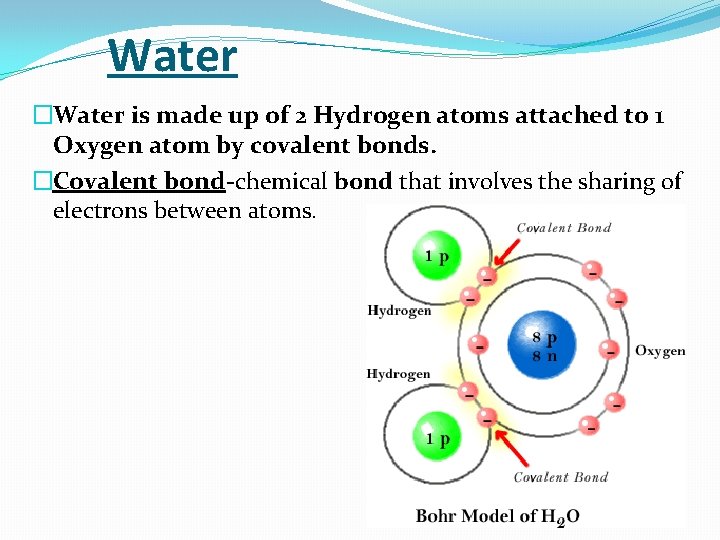 Water �Water is made up of 2 Hydrogen atoms attached to 1 Oxygen atom