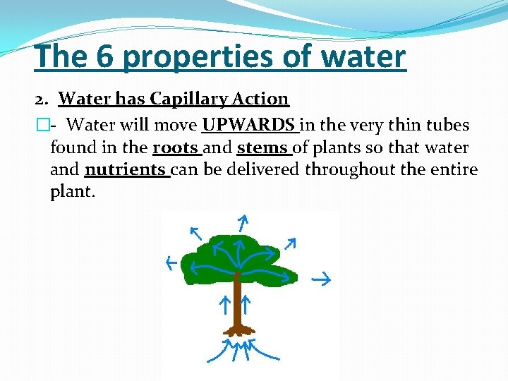 The 6 properties of water 2. Water has Capillary Action �- Water will move