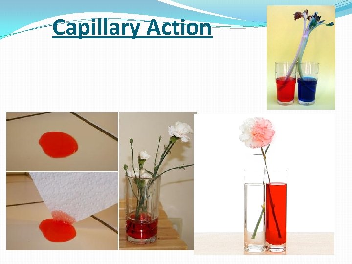Capillary Action 