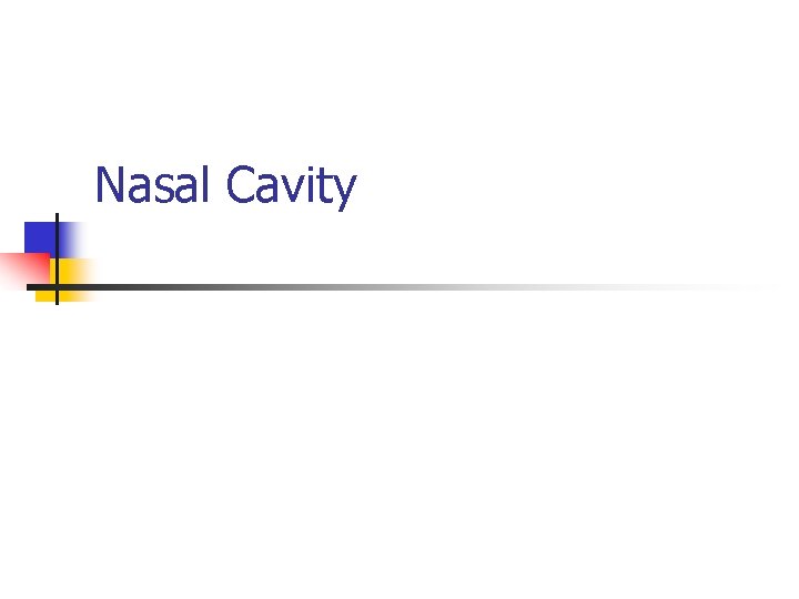 Nasal Cavity 