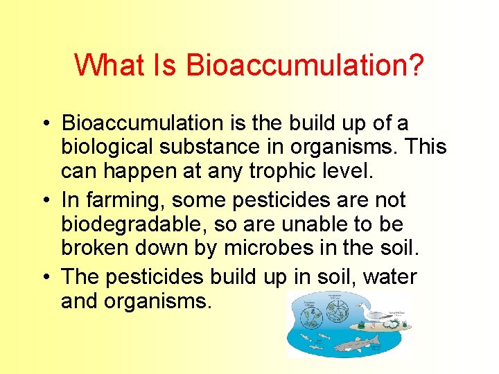 What Is Bioaccumulation? • Bioaccumulation is the build up of a biological substance in