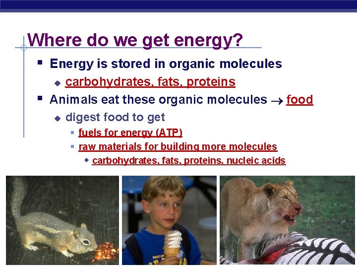 Where do we get energy? § Energy is stored in organic molecules carbohydrates, fats,