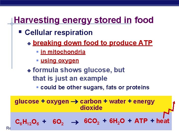 Harvesting energy stored in food § Cellular respiration u breaking down food to produce