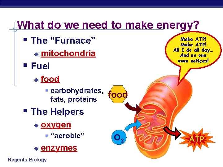 What do we need to make energy? Make ATP! § The “Furnace” Make ATP!