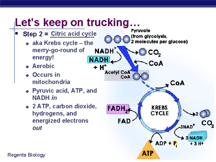 Let’s keep on trucking… Citric acid cycle § Step 2 = ______ u u
