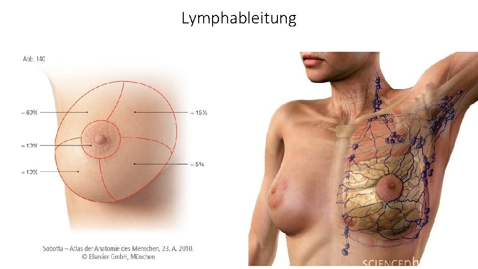 Lymphableitung 