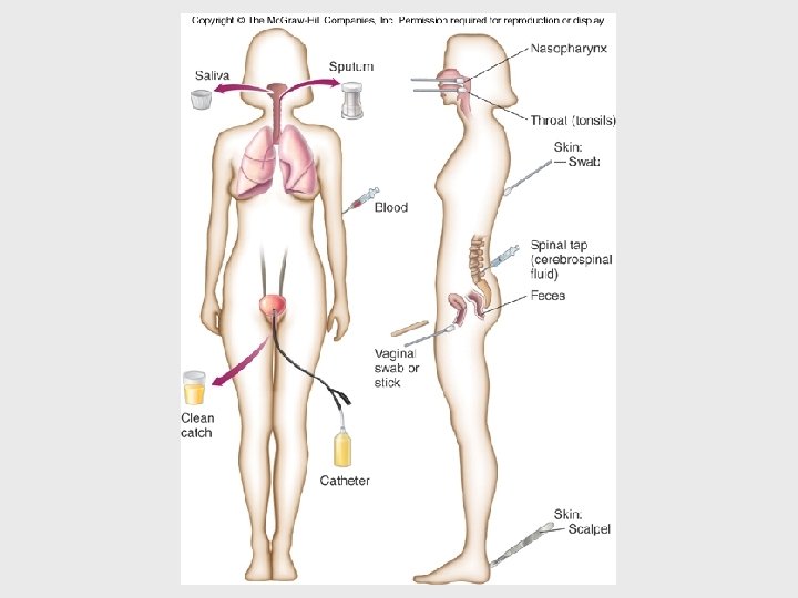 Insert figure 17. 1 Sampling sites 
