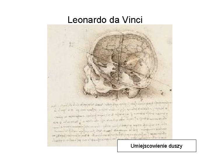 Leonardo da Vinci Umiejscowienie duszy 