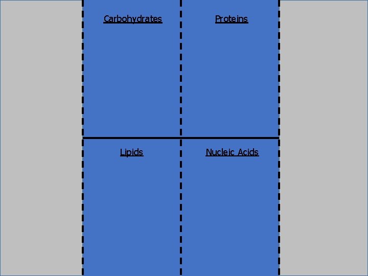 Carbohydrates Proteins Lipids Nucleic Acids 