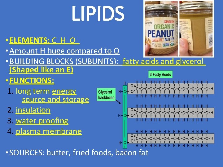 LIPIDS • ELEMENTS: C H O • Amount H huge compared to O •