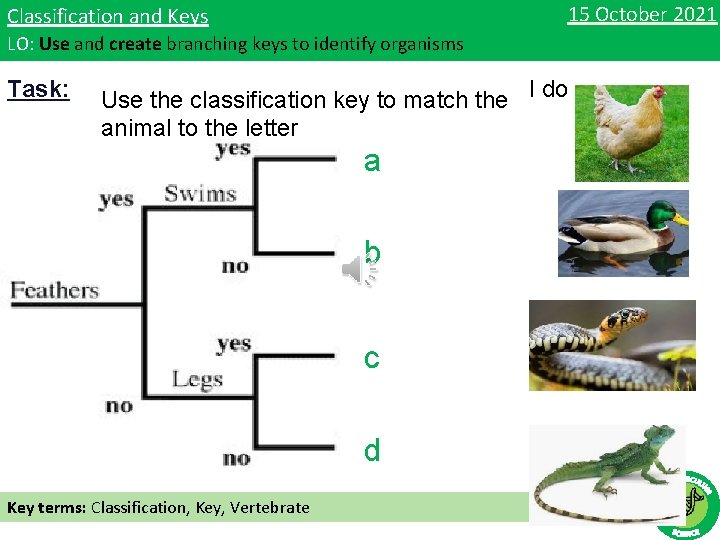 15 October 2021 Classification and Keys LO: Use and create branching keys to identify