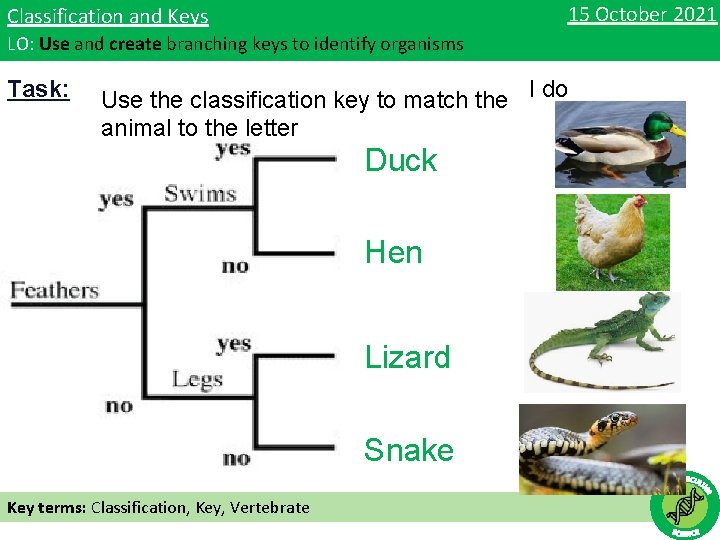 15 October 2021 Classification and Keys LO: Use and create branching keys to identify