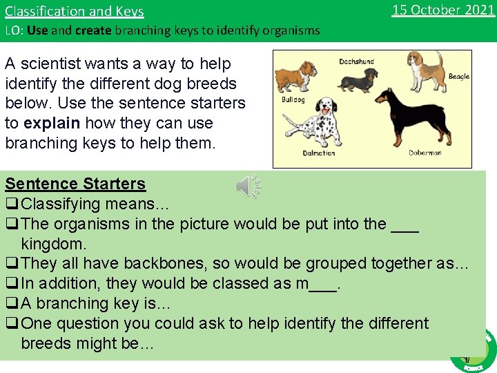 Classification and Keys 15 October 2021 LO: Use and create branching keys to identify