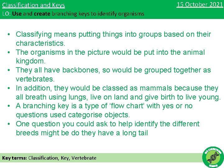 Classification and Keys 15 October 2021 LO: Use and create branching keys to identify