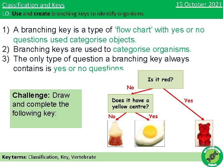 Classification and Keys 15 October 2021 LO: Use and create branching keys to identify
