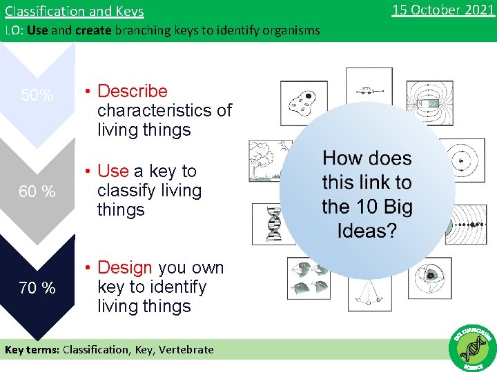 Classification and Keys LO: Use and create branching keys to identify organisms 50% •