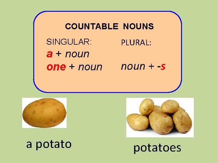 COUNTABLE NOUNS SINGULAR: a + noun one + noun a potato PLURAL: noun +