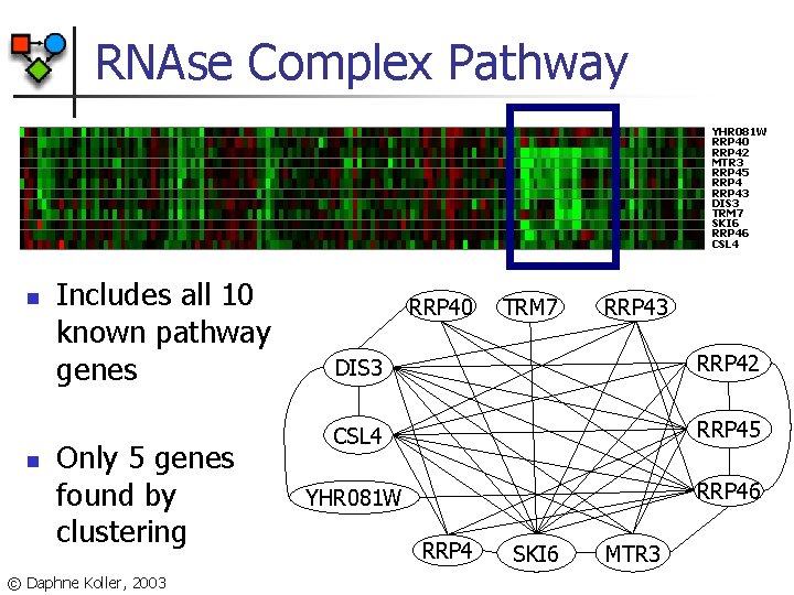 RNAse Complex Pathway YHR 081 W RRP 40 RRP 42 MTR 3 RRP 45