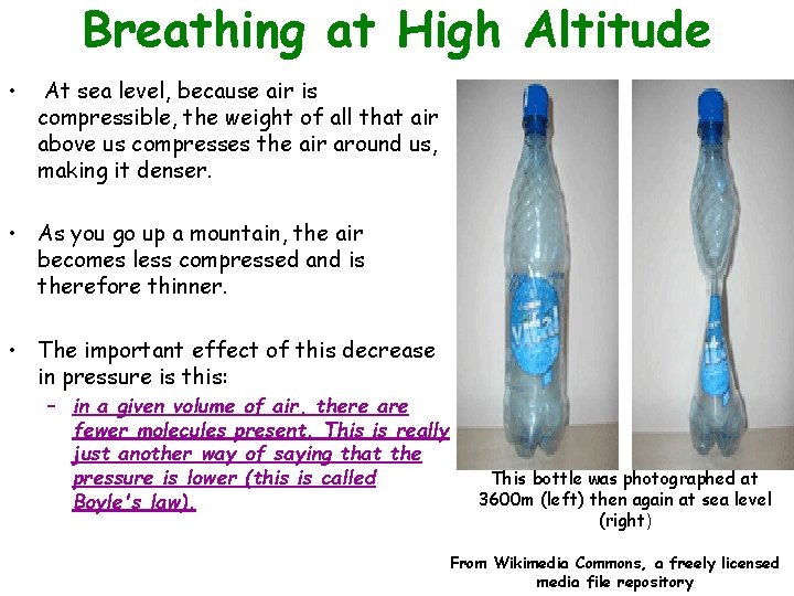 Breathing at High Altitude • At sea level, because air is compressible, the weight